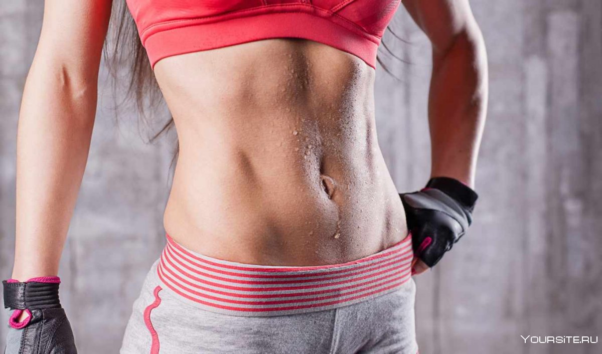 Брюшной пресс женский мышцы