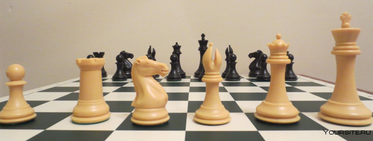 Шахматы 3д (Chess 3d free)