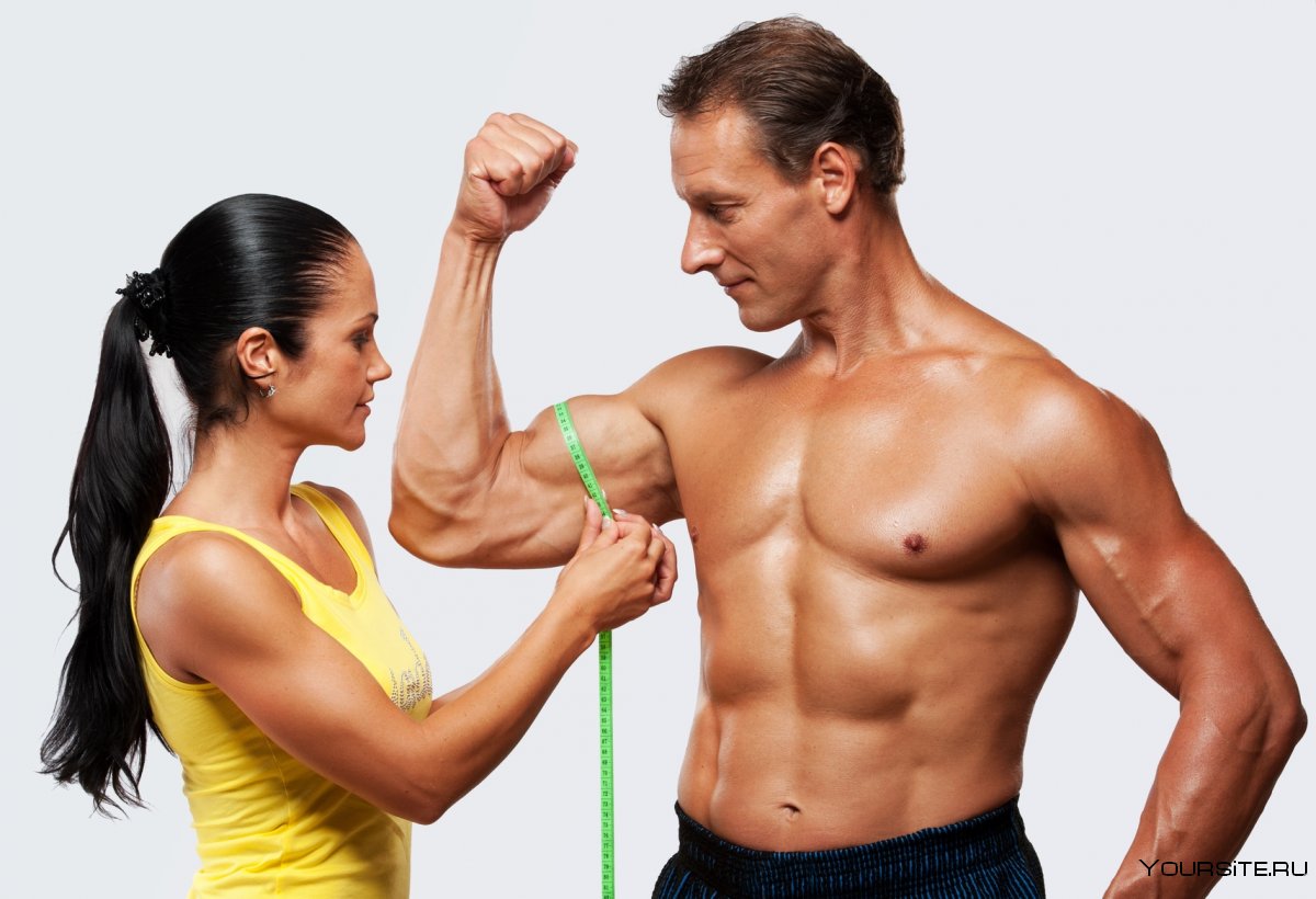 Мышцы у мужчины и женщины