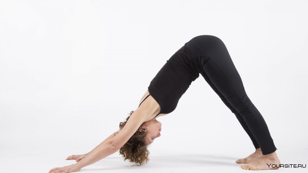 Adho mukha Svanasana