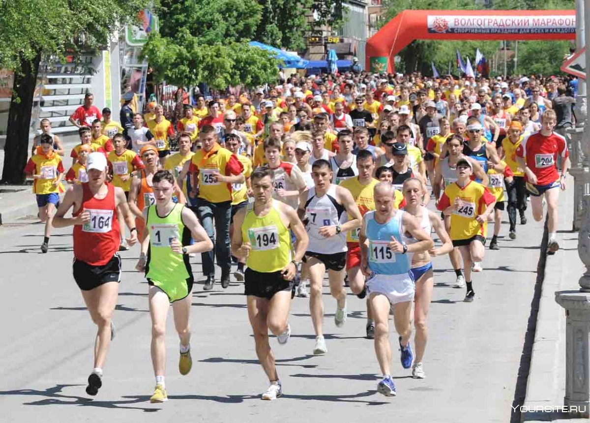 Московский спортивный марафон