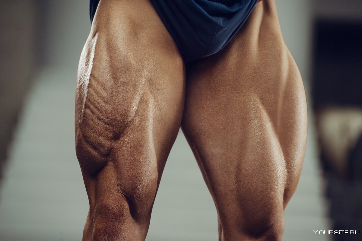 Quads мышцы