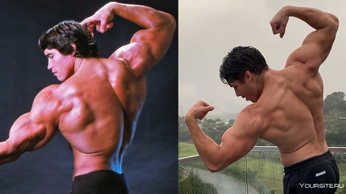 Strongman и Шварценеггер