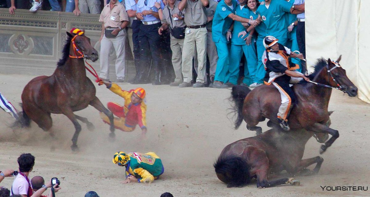 Седло для лошади скачки