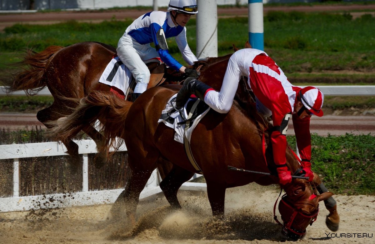 Скачки Монте Карло 2012