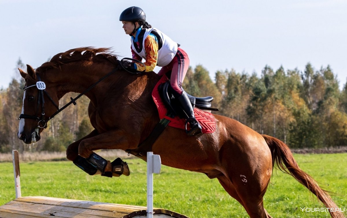 Юлия Розенкова конный спорт