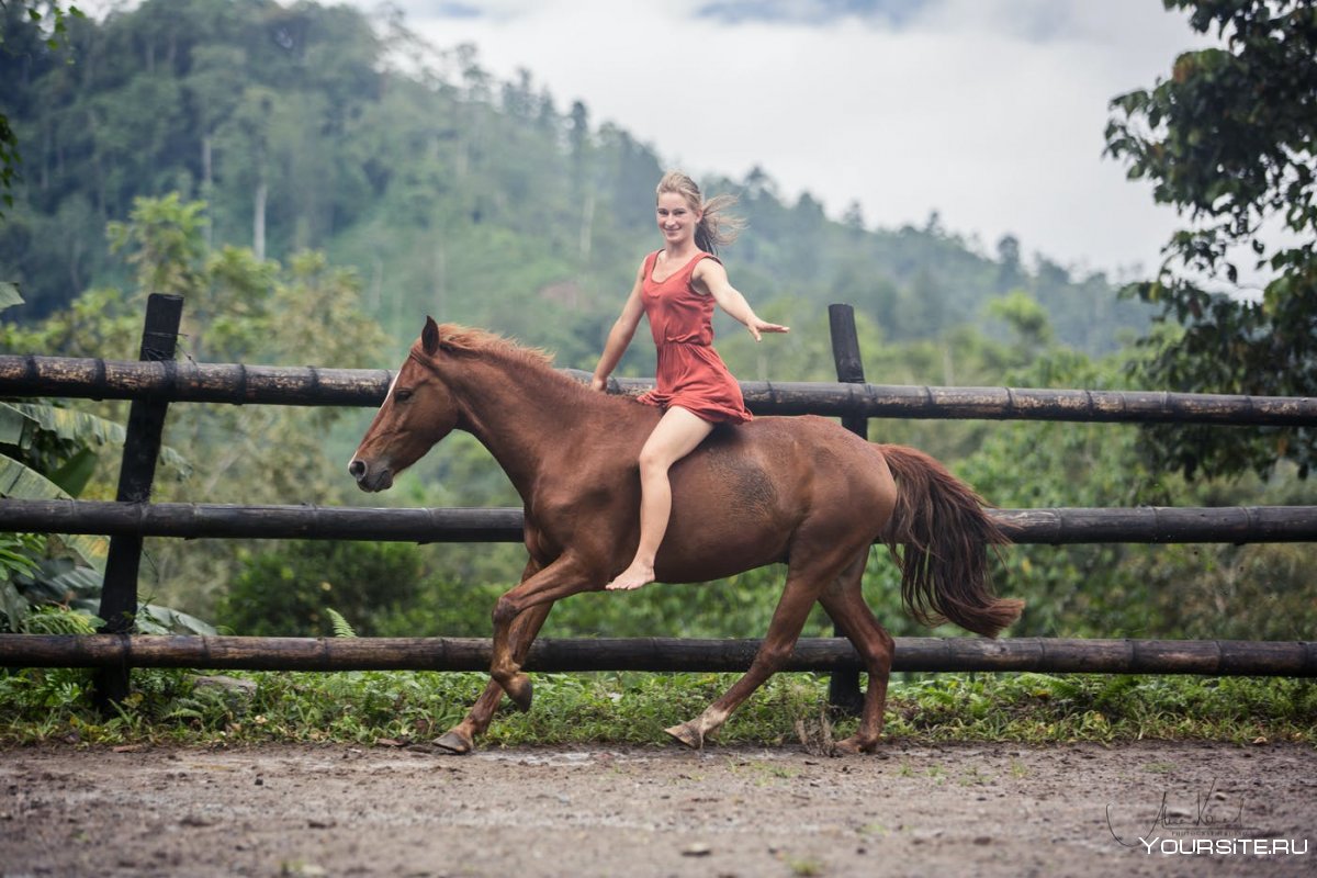 Алисия прыжки на лошади
