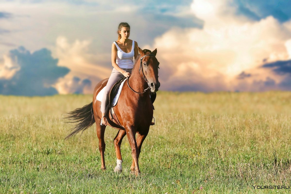 Девушка верхом на лошади