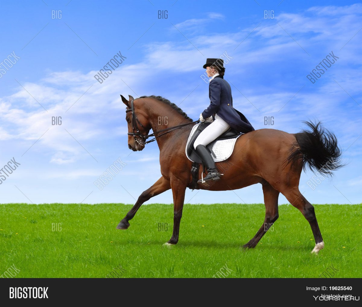 Верховая езда на лошади