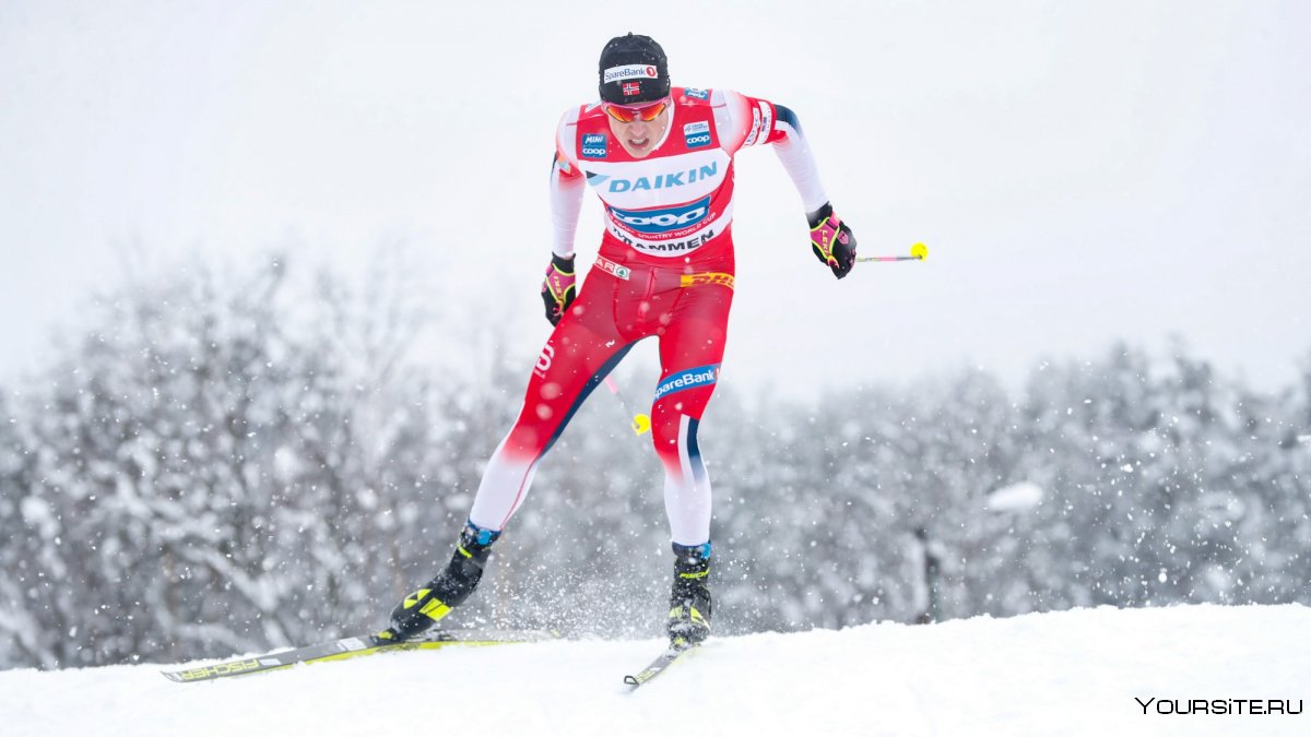Сборная Норвегии по лыжным гонкам
