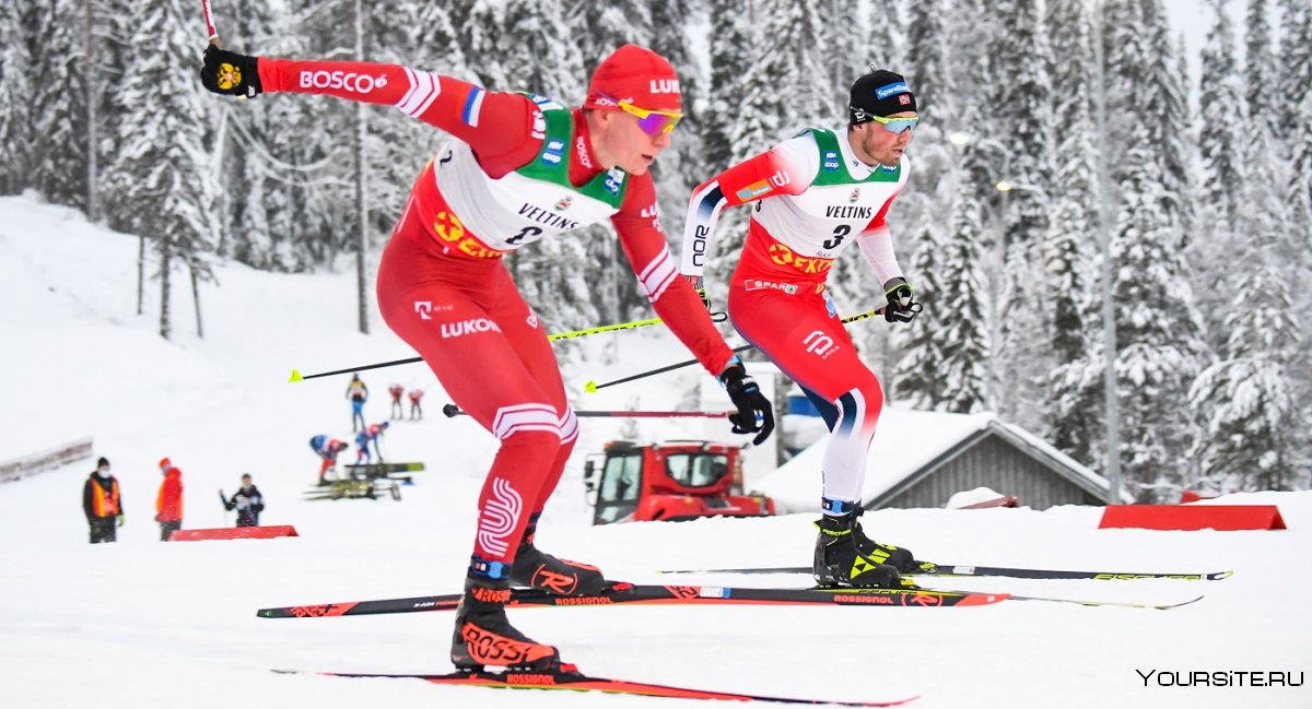 Группа Бородавко лыжные гонки