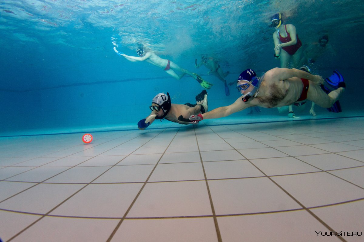 Подводный спорт