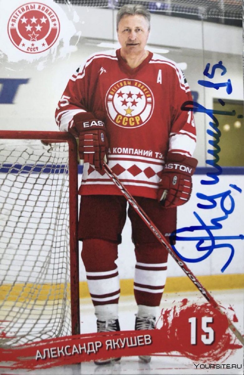 Валерий Васильев хоккеист Амур