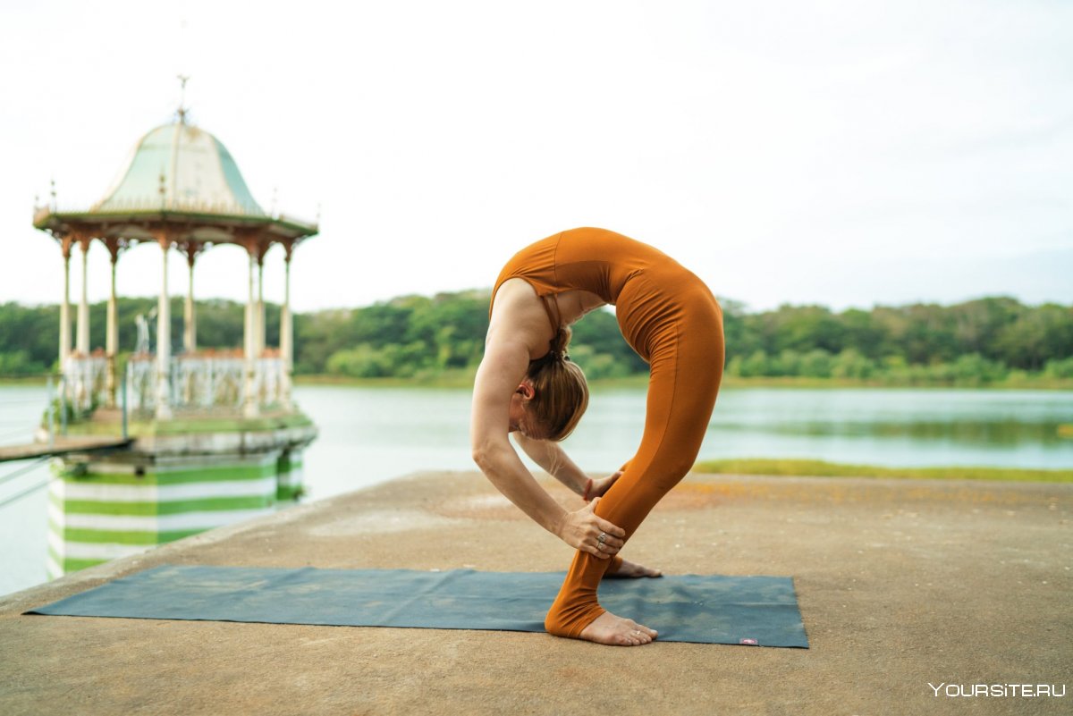 Аштанганамаскар асана Айенгар