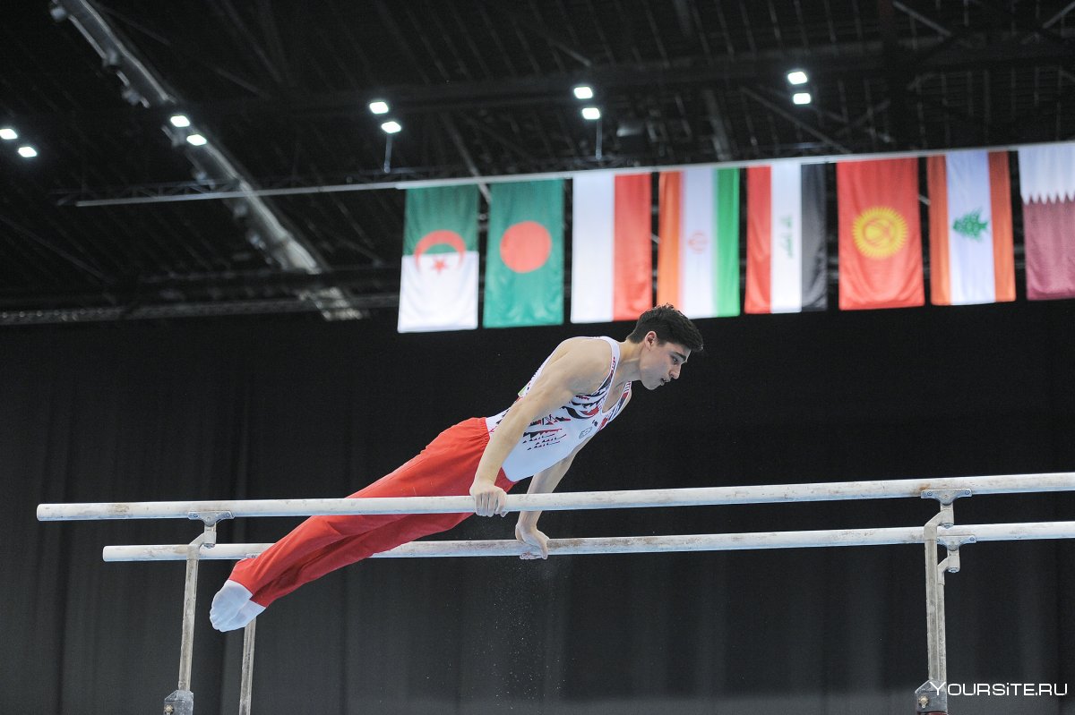 Влади́мир Ма́рченко гимнаст