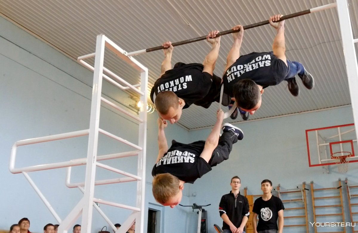 Воркаутер передний ВИС