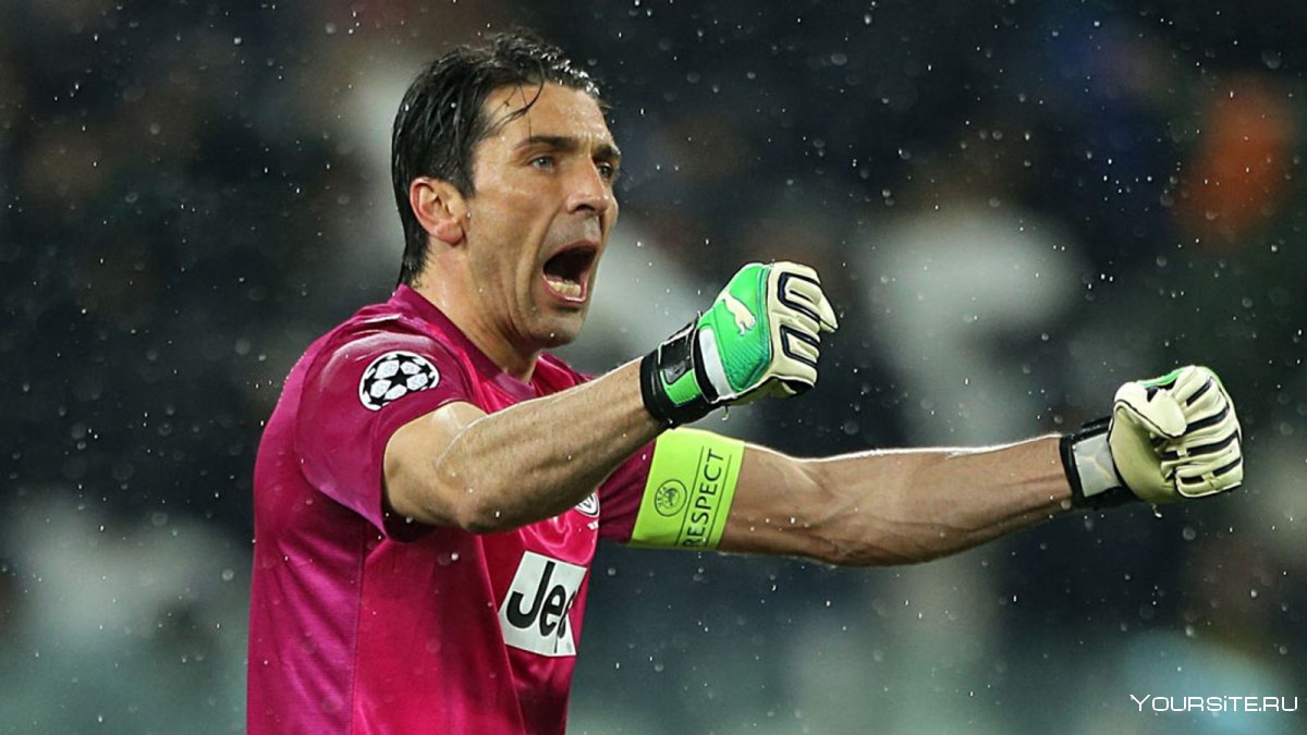 David Lee Buffon
