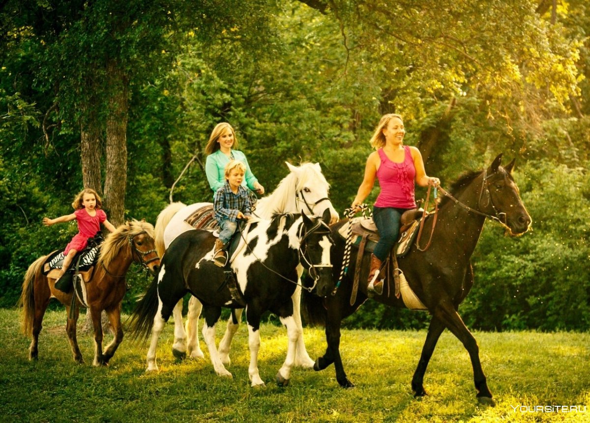 Прогулка на лошадях с детьми