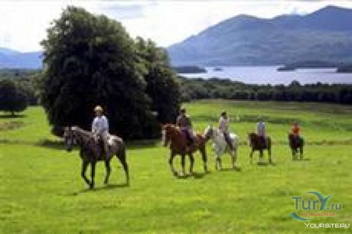 Конные прогулки в Ирландии