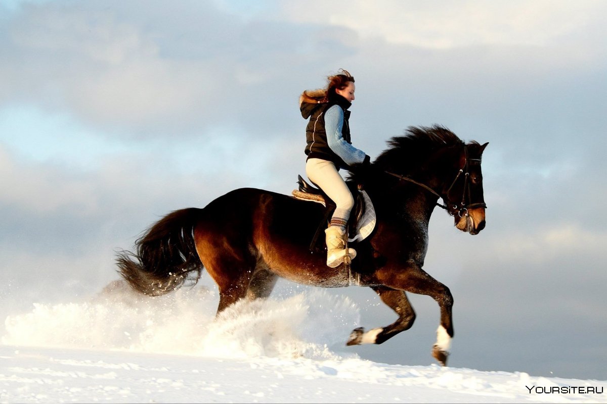 Верхом на лошади зимой