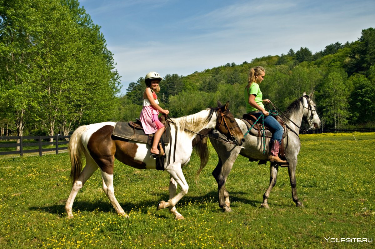 Дети катаются на лошадях