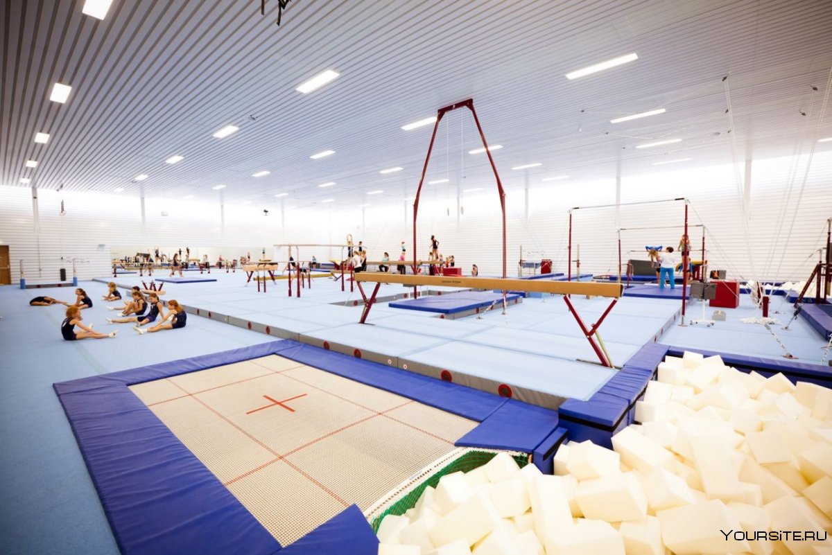 Спортивный гимнастический зал
