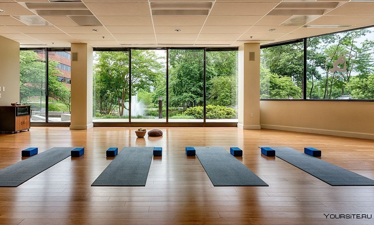 Студия йоги с панорамными окнами