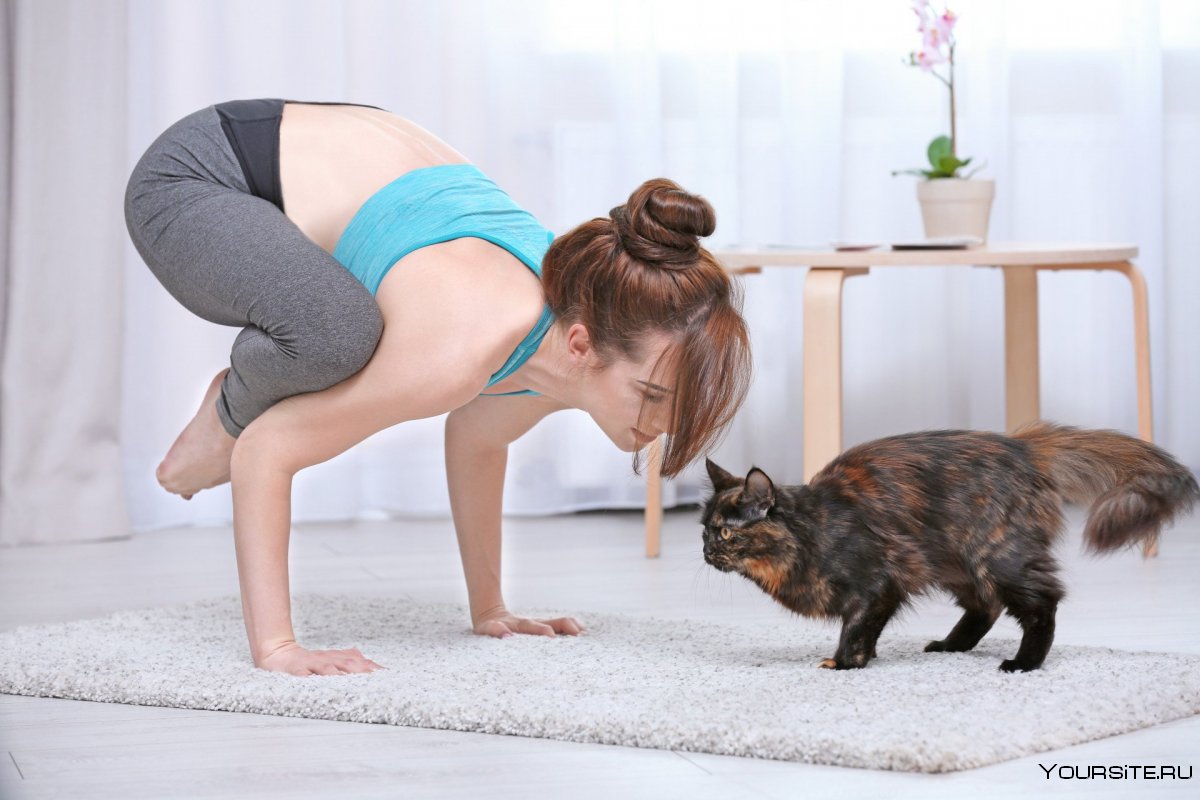 Женщина кошка йога