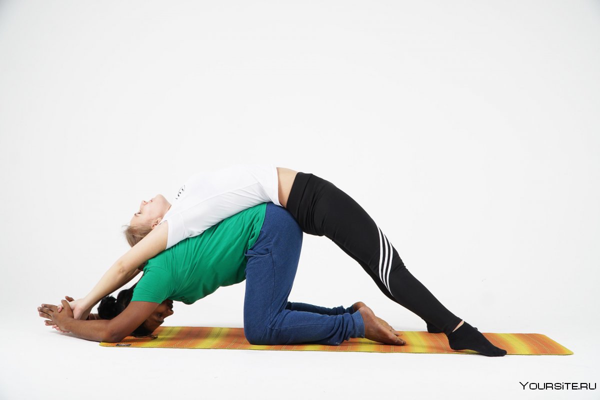 Парная йога для начинающих