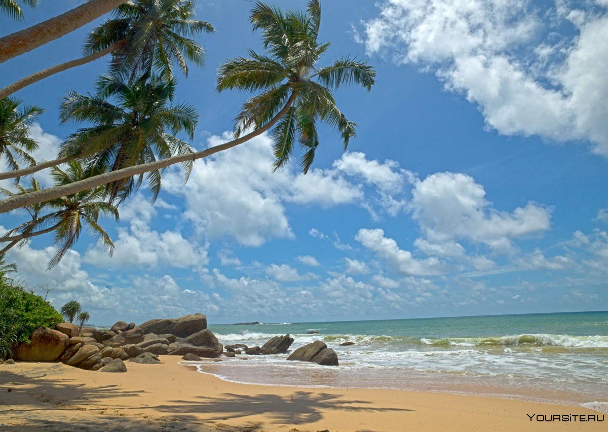 Пляж Амбалангода Шри Ланка