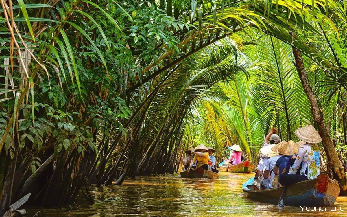 Дельта реки Меконг Вьетнам