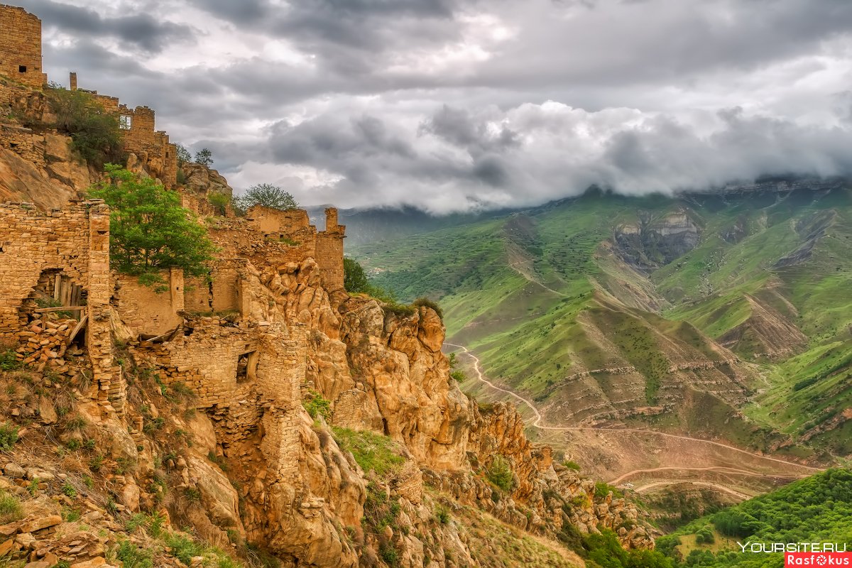 Чай Гамсутль