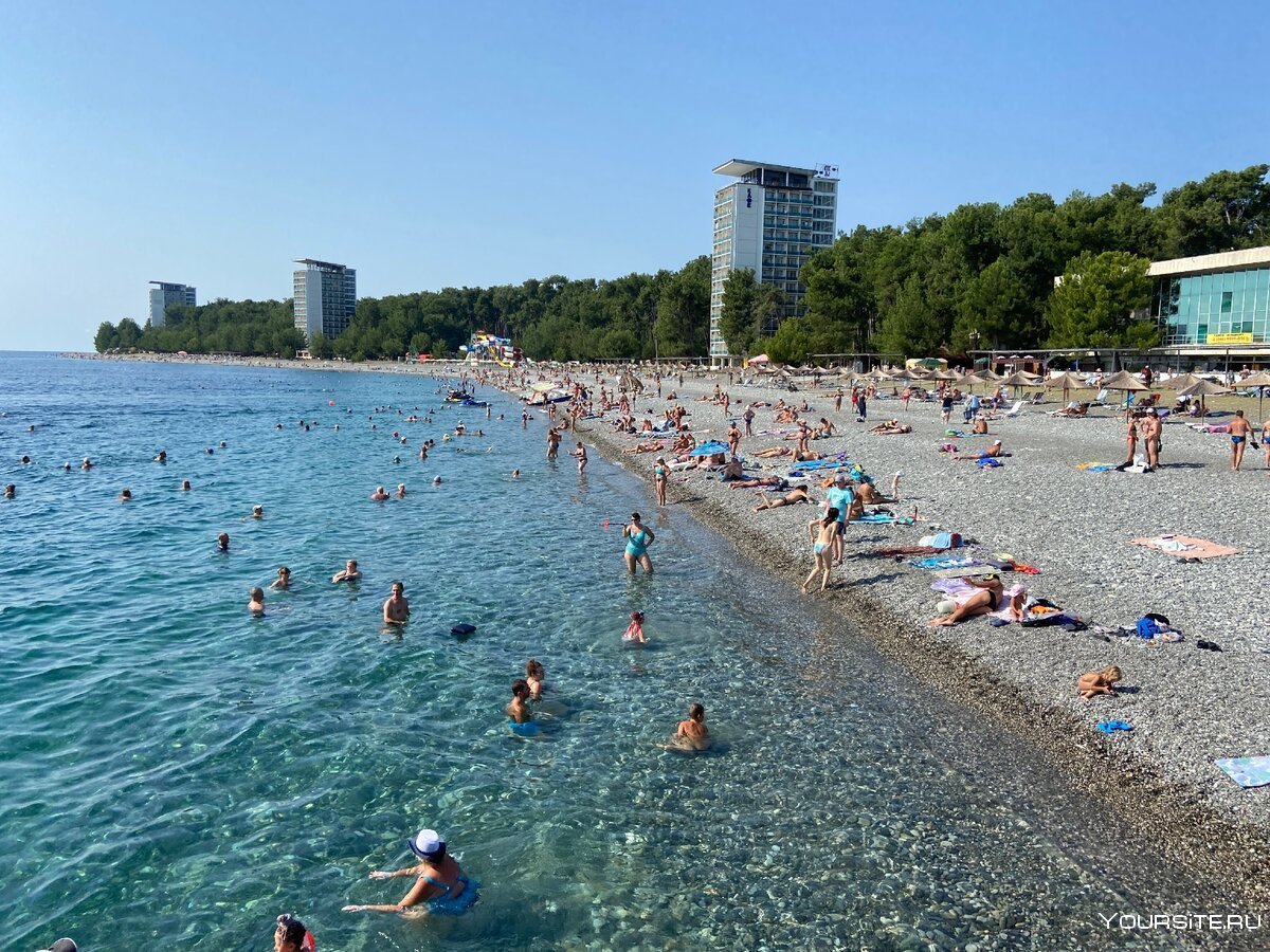 Абхазия Пицунда отели на берегу моря
