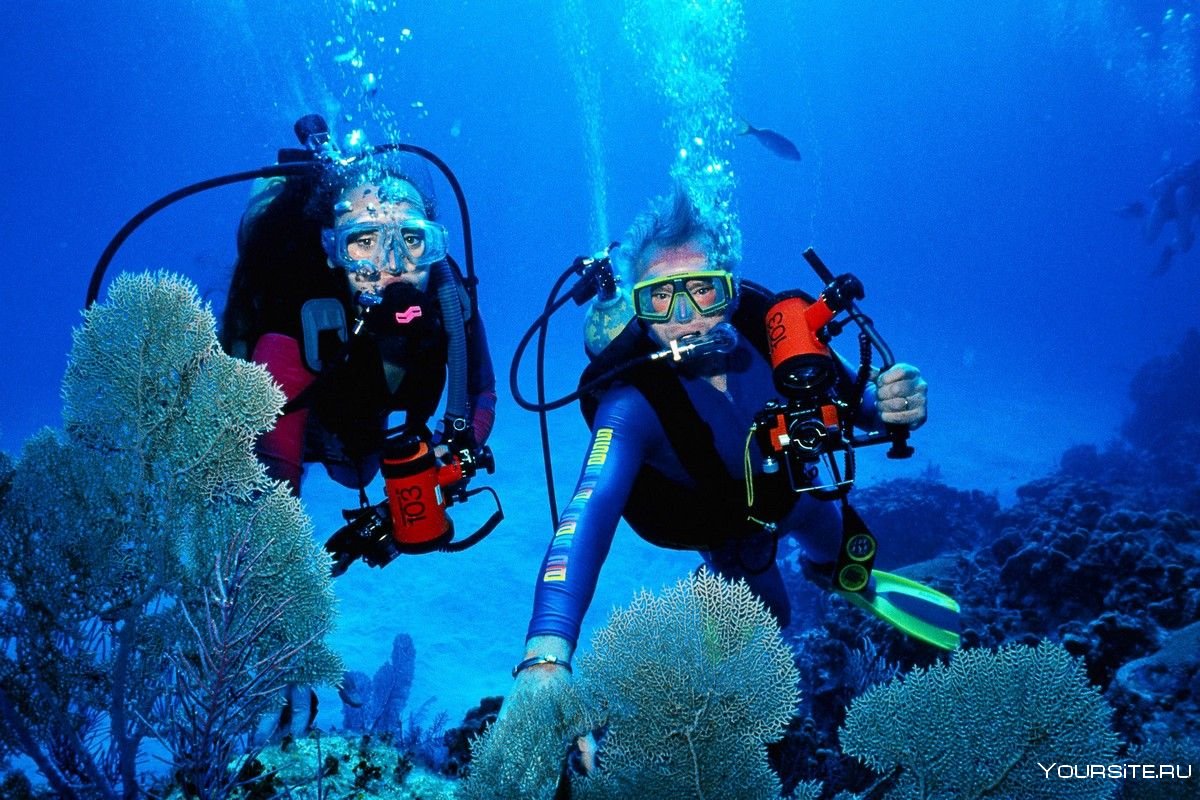 Подводный туризм