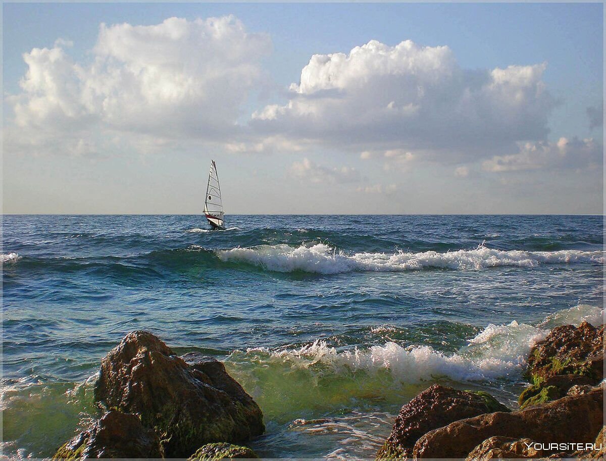 Море Крым Прибой