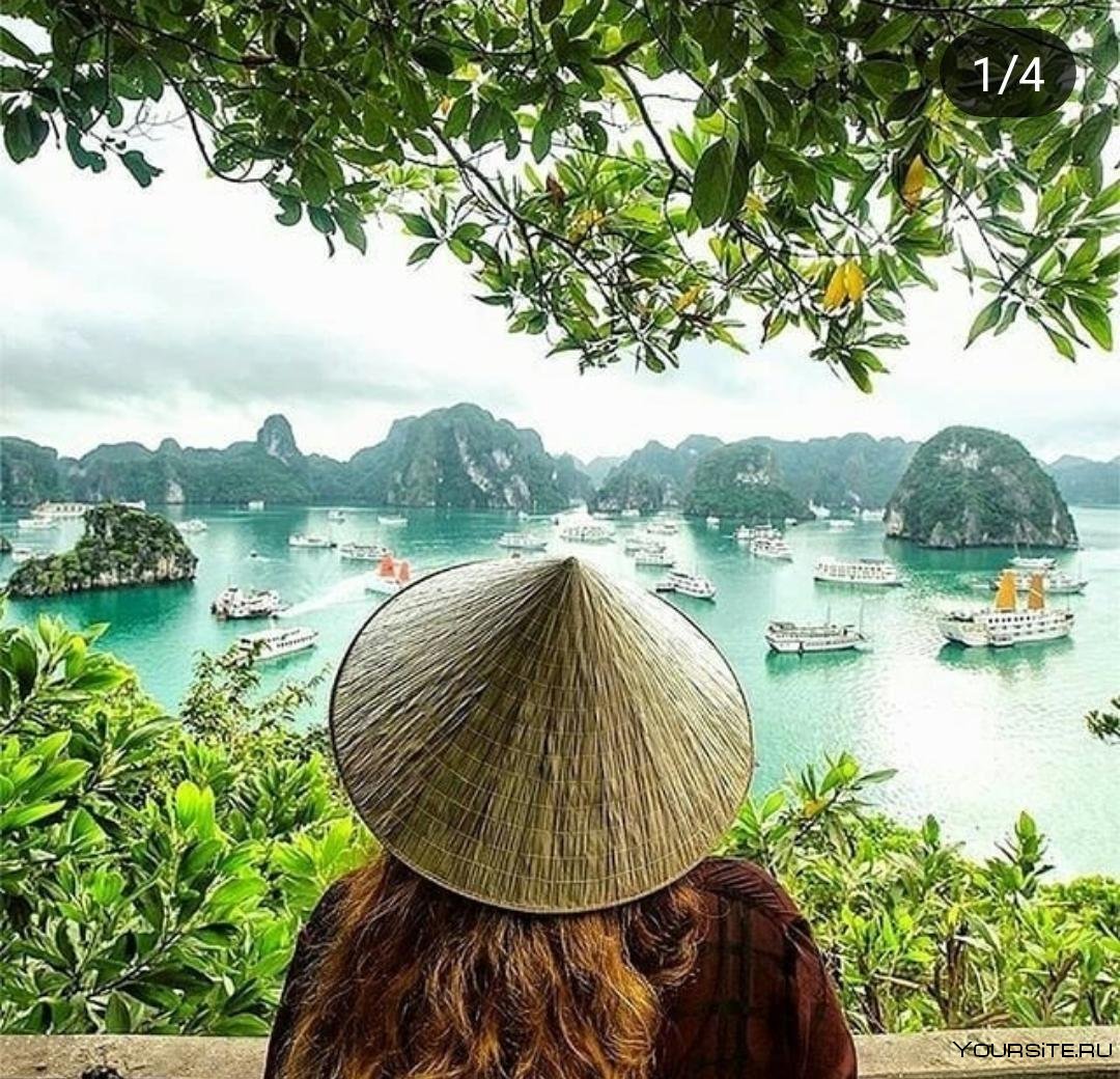 Туристический вьетнам
