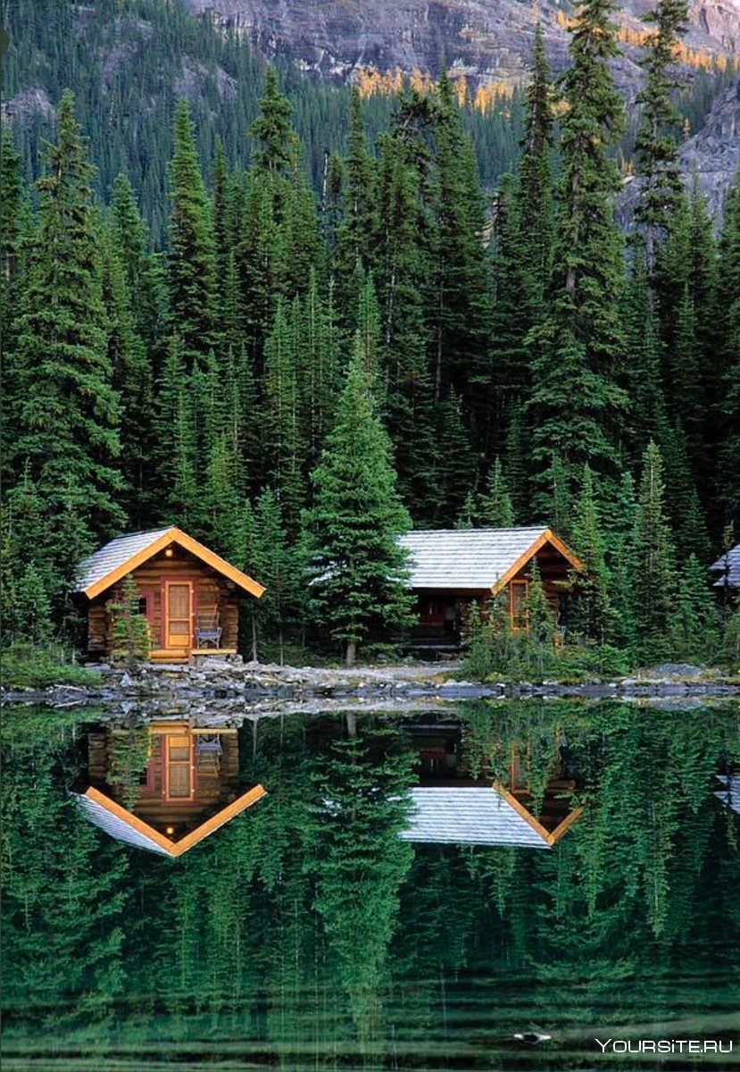 Канадский домик в лесу