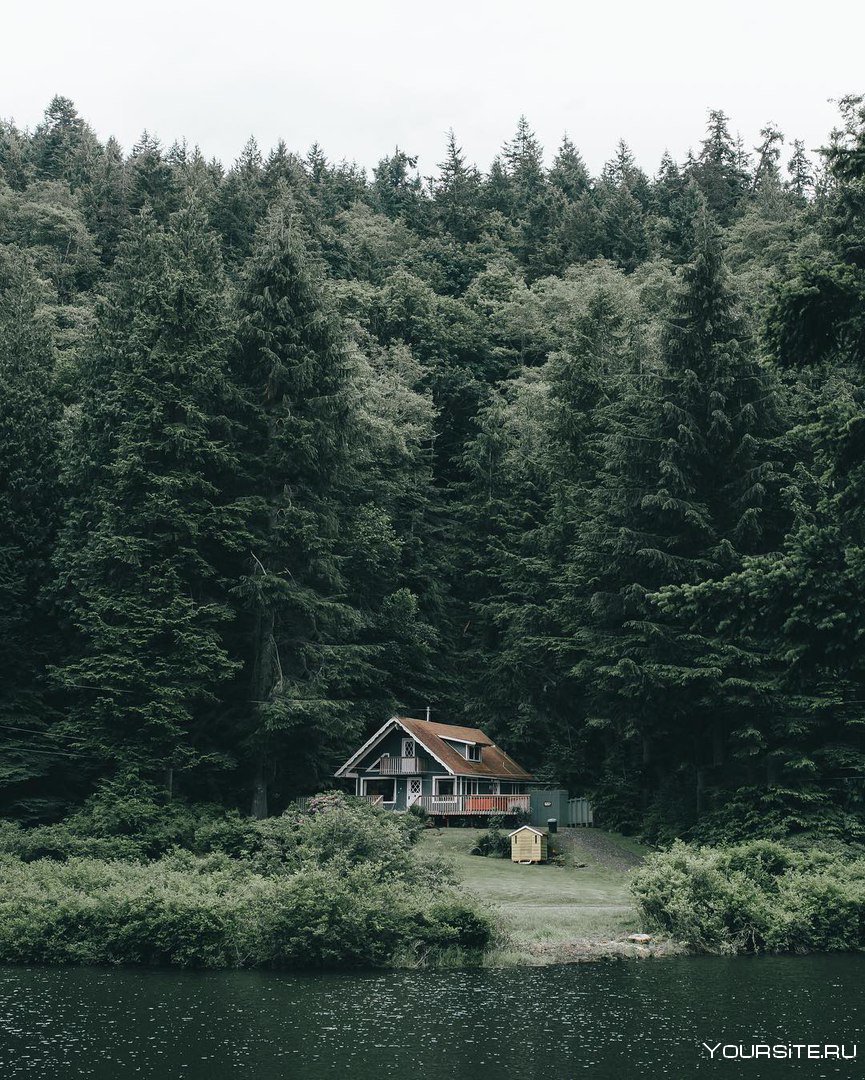 Одинокий домик у озера в лесу