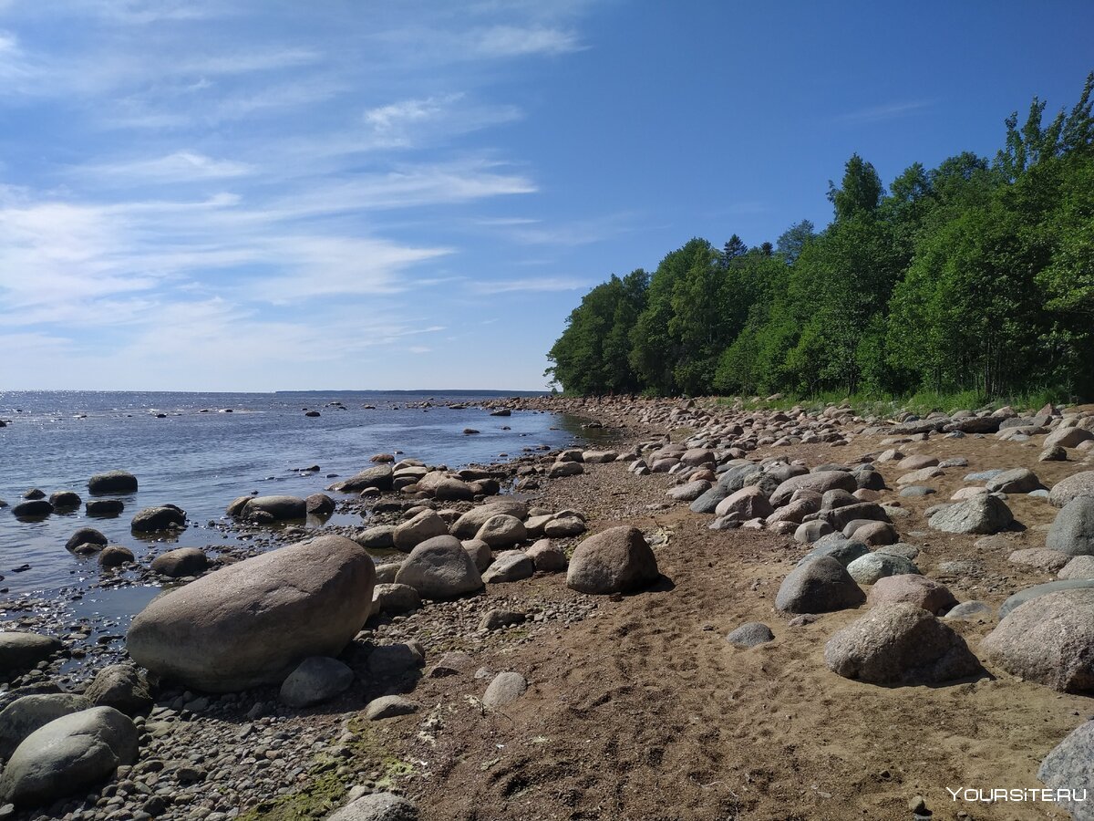 Зеленогорск финский залив пляж