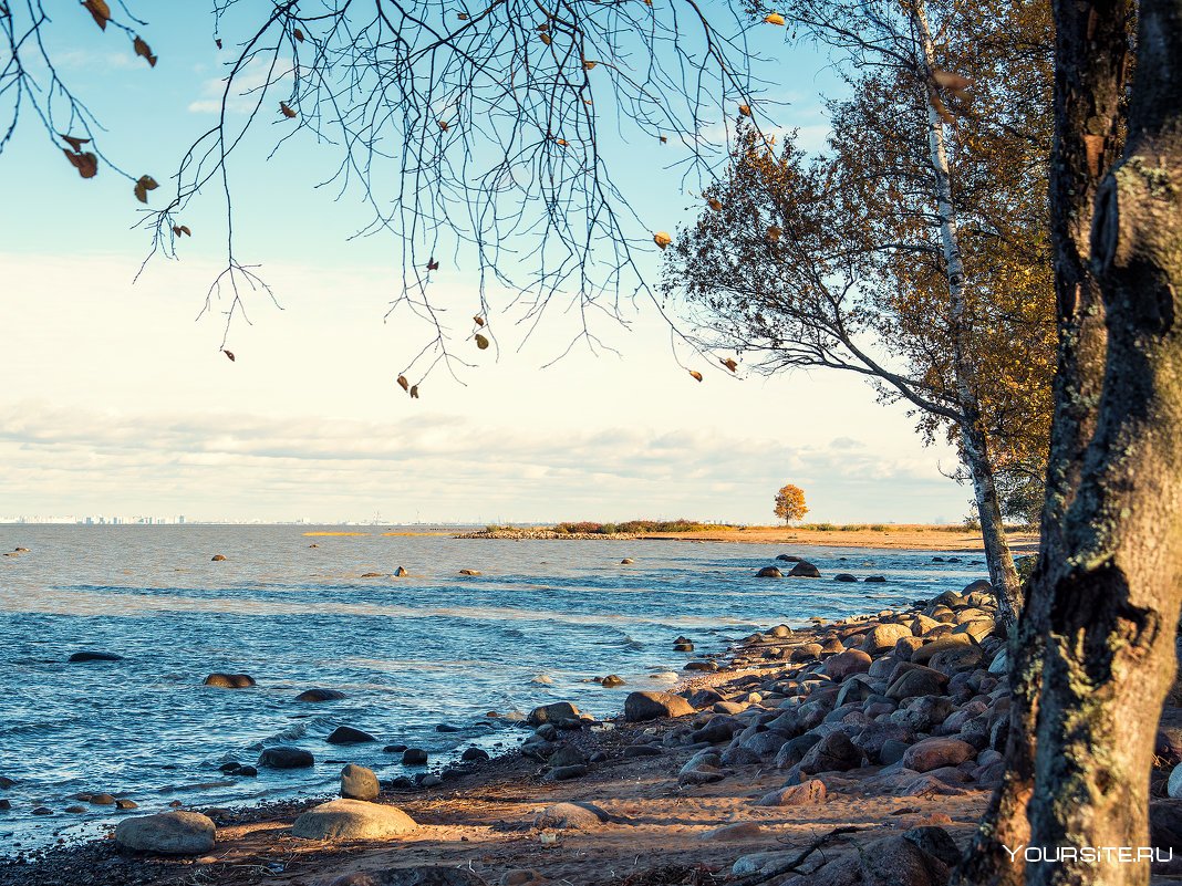 Финляндия финский залив