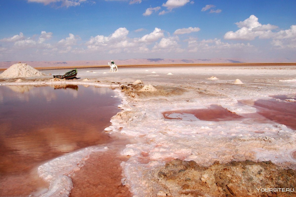 Соленое озеро Шотт Эль Джерид