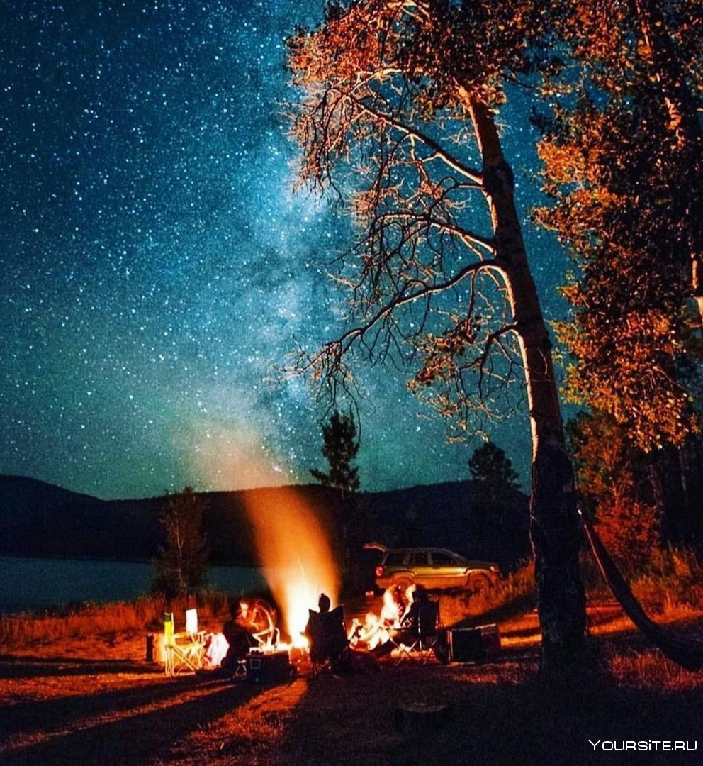 Костер в лесу