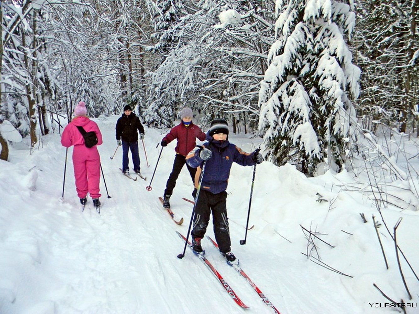 Помощь снежку. Лыжная прогулка. Катание на лыжах в лесу. Прогулка на лыжах в лесу. Прогулка на лыжах по зимнему лесу.