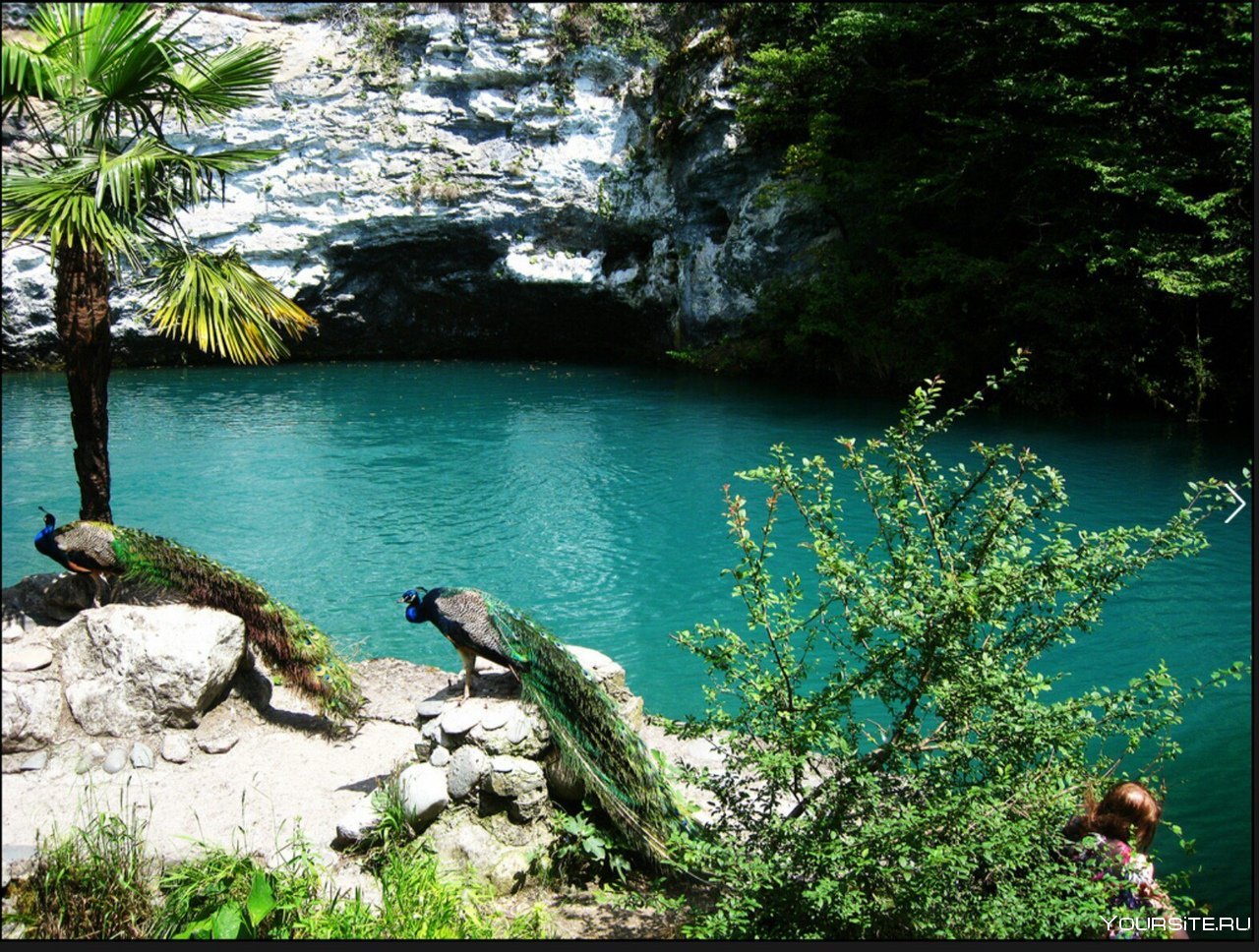 Голубые абхазии. Голубое озеро Гагра. Голубое озеро Абхазия Легенда. Озеро Гагра Абхазия. Гагра достопримечательности голубое озеро.
