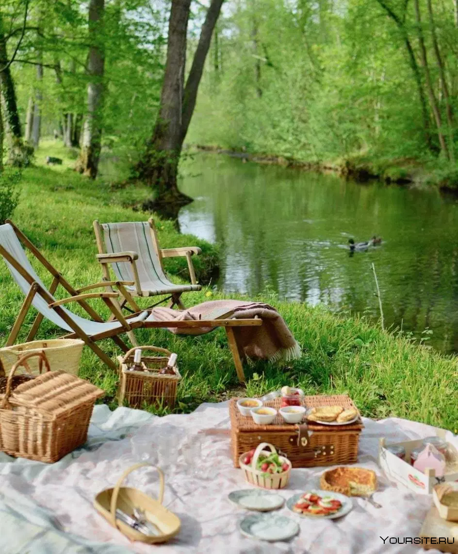 Пикник на природе. Красивые места для пикника. Пикник в лесу. Пикник у реки. Куда на природу