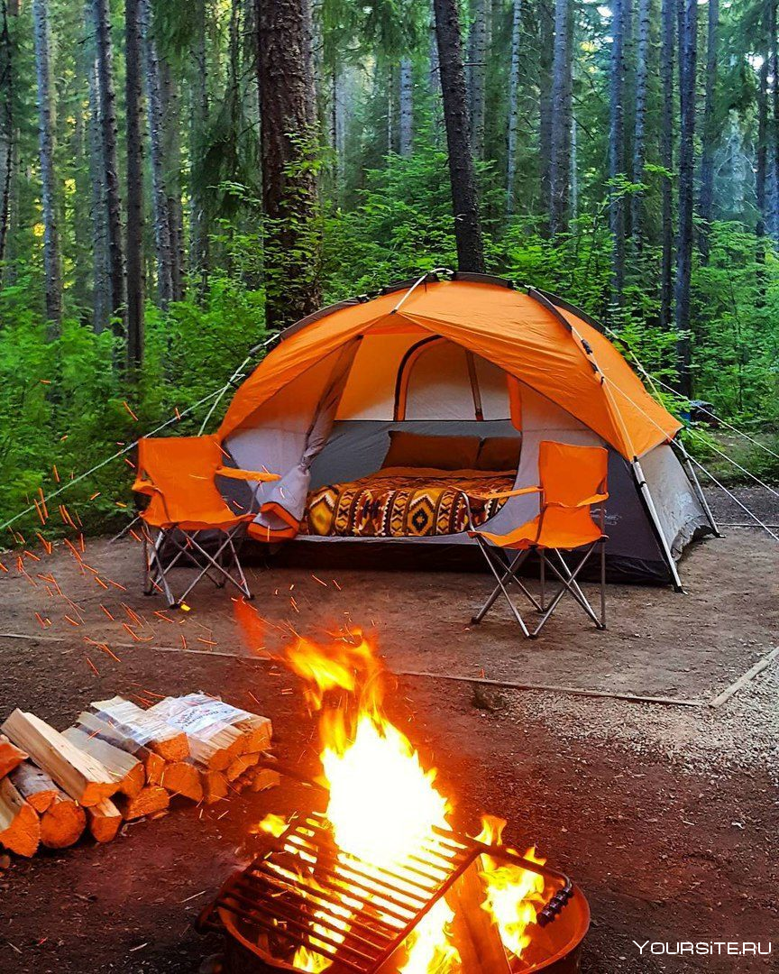 Кемпинг русский кемпинг. Палатка туристическая. Палатка в лесу. Палатка туристическая в лесу. Поход с палатками.