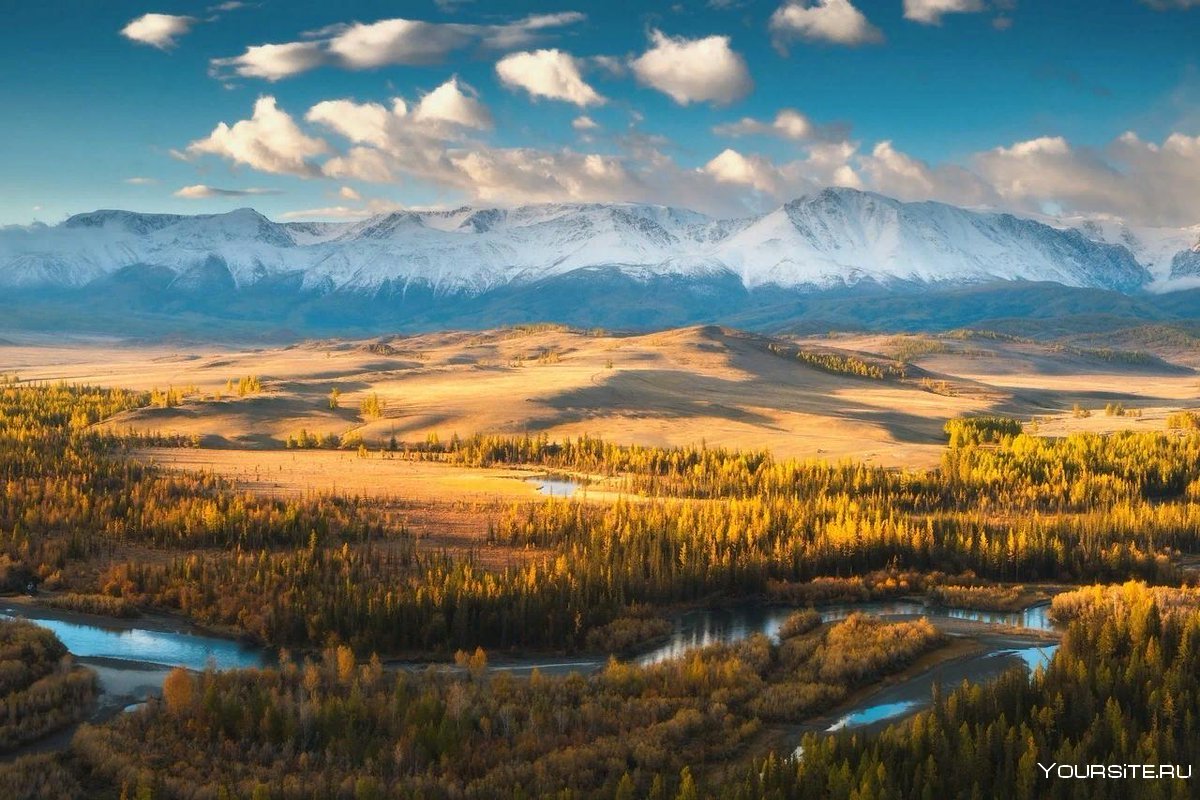Курайская степь горный Алтай осень