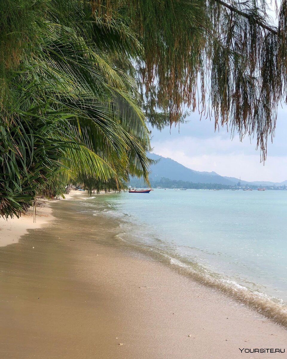 Тайский остров Самуи