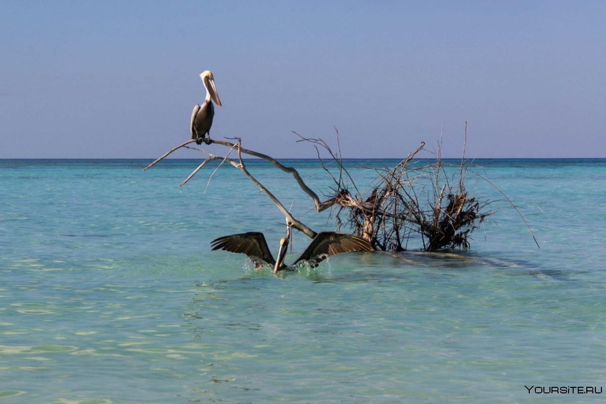 Sol Cayo Guillermo 4 Куба