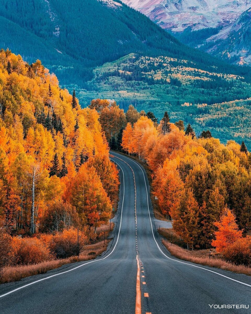 Осенняя природа дорога